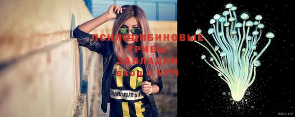 ПСИЛОЦИБИНОВЫЕ ГРИБЫ Касимов